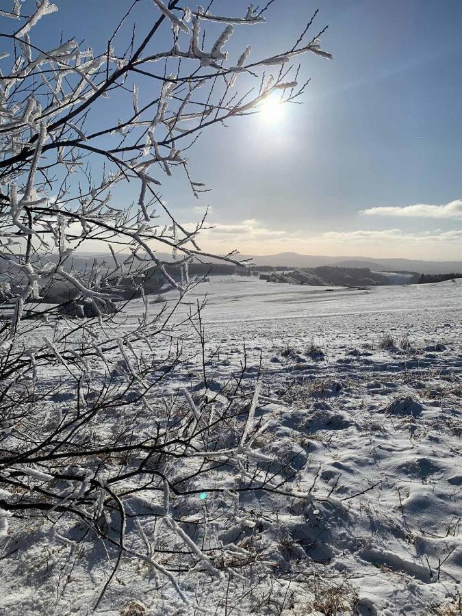Ferienwohnung Stirnbergblick Ehrenberg  المظهر الخارجي الصورة