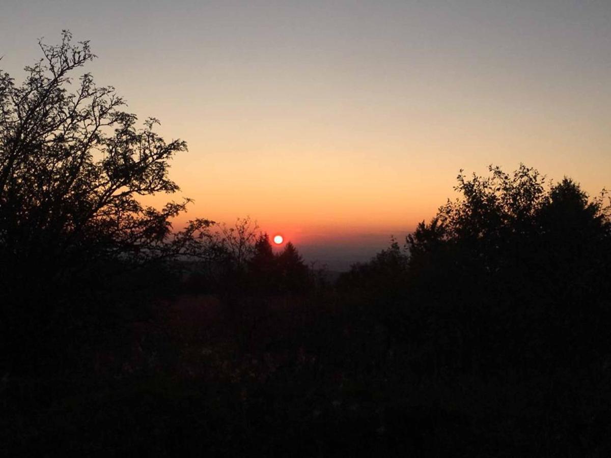 Ferienwohnung Stirnbergblick Ehrenberg  المظهر الخارجي الصورة
